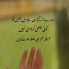 user4242701133028