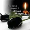 florica.zgarbaciu