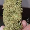 xasan.1000g