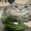 koshak_681
