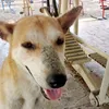 user66963100120141