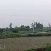 gurufhuduehrhjdhfhhr