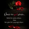 ismayilzade1987