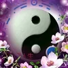 user60561083021930