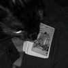 tarosta13