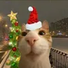 nonot_niko