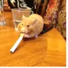 fbi.t.2.no.wibu.a