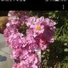 user992767227575