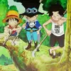 user79747547197917