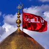 zameer2526