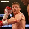 canelo_alvarez8