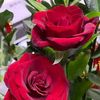 user44008381926224