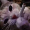 y0ur.f4v.c0l33n