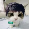 jimincitoloverer