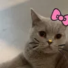 bstayyfitt