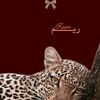 reem_mo30