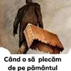 constantincosuta1