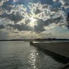 livi_813