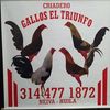 gallos.el.triunf