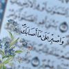 ebru1293