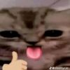 alastorlover72