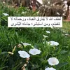 nasreen.jaseem
