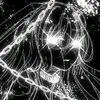 kira_55584