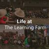 life at tlf