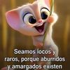 jorge.ultrera