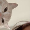 rlover_4