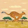 guepard.djo