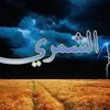 user4157004386339