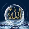 muhammed.ijaz703