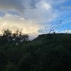 sam_9823