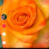 mohhammad_123