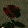 rabab_rabab23