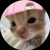 .lanh011
