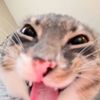 itzy2919