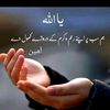 usmanmar116