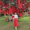 phung.huynh107