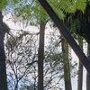 livi_0720
