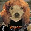 fan_de_megadeth.586