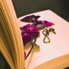 writeraneebali06