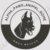 Alpha Paw's animal shelter