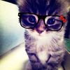 www.tiktok.combts04