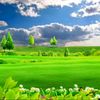 josim.uddin.5760