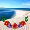 najam.najam98