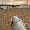 horses123m
