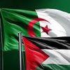 younes.younes0639