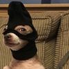 brandon223333333333